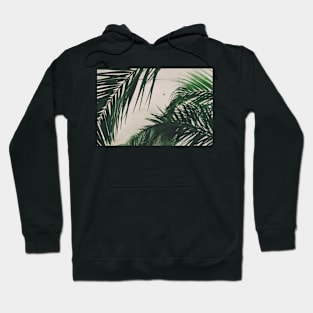 Artful Palm Leaf Graphic Hoodie